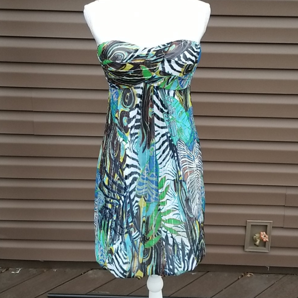 CACHE DRESS